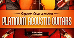 [DTMニュース]organic-loops-acoustic-sale-2019-2