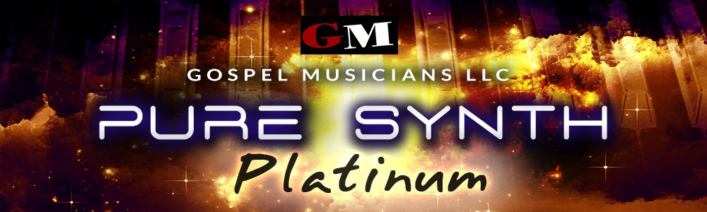 [DTMニュース]gm-pure-synth-platinum-2-1