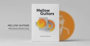 [DTMニュース]edm-ghost-mellow-guitars-2