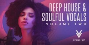 [DTMニュース]vital-vocals-deep-house2-2