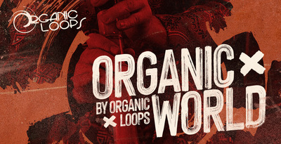 [DTMニュース]organic-loops-organic-world-2