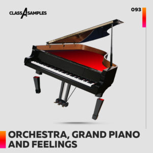 class-a-samples-orchestra-grand-1