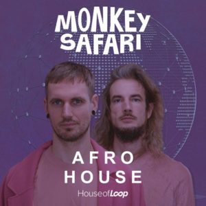 house-of-loop-monkey-safari
