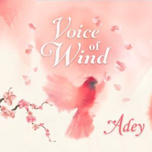 soundiron-voice-of-wind-adey