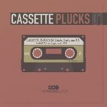 [DTMニュース]THEPHONOLOOPのプラックインストゥルメンツライブラリ「Cassette Plucks.01」が20%off！