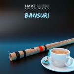 [DTMニュース]Have Audioの素晴らしいアコースティックサンプル「Bansuri Bundle」が29%off！
