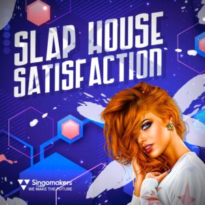 singomakers-slap-house-satis