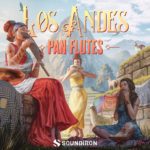 [DTMニュース]Soundironのアルゼンチンの伝統的なパンフルート「Los Andes Pan Flutes」が25%off！