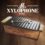 [DTMニュース]Soundironのオルフ調の打楽器「Alto Xylophone」が34%off！