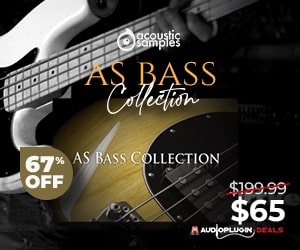 acousticsamples-bass-collection-wg