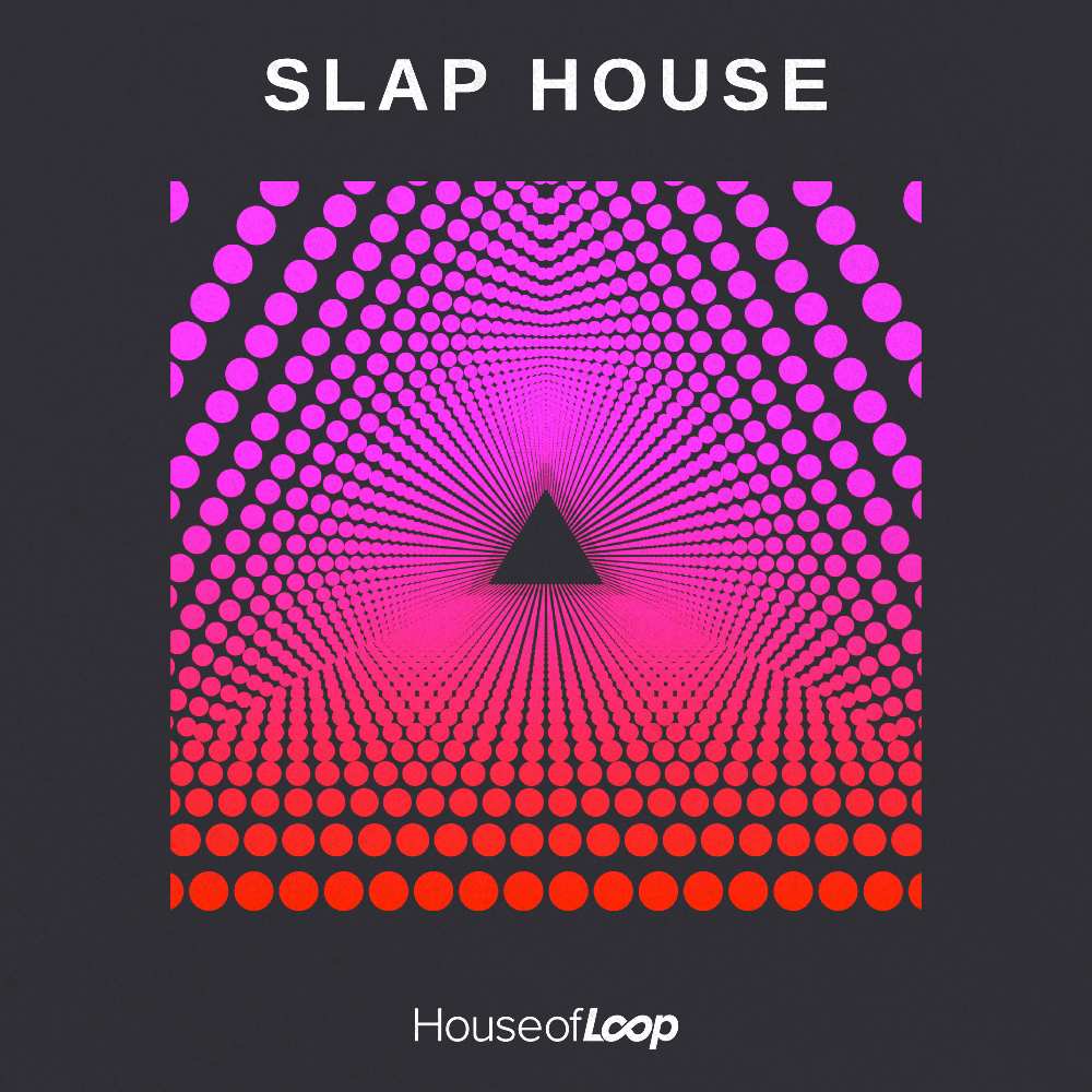 house-of-loop-slap-house