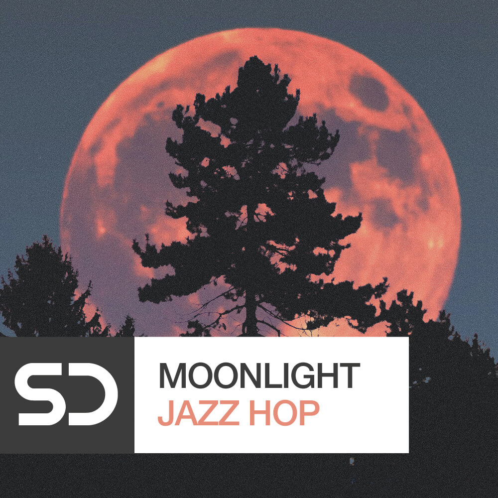 sample-diggers-moonlight-jazz-hop