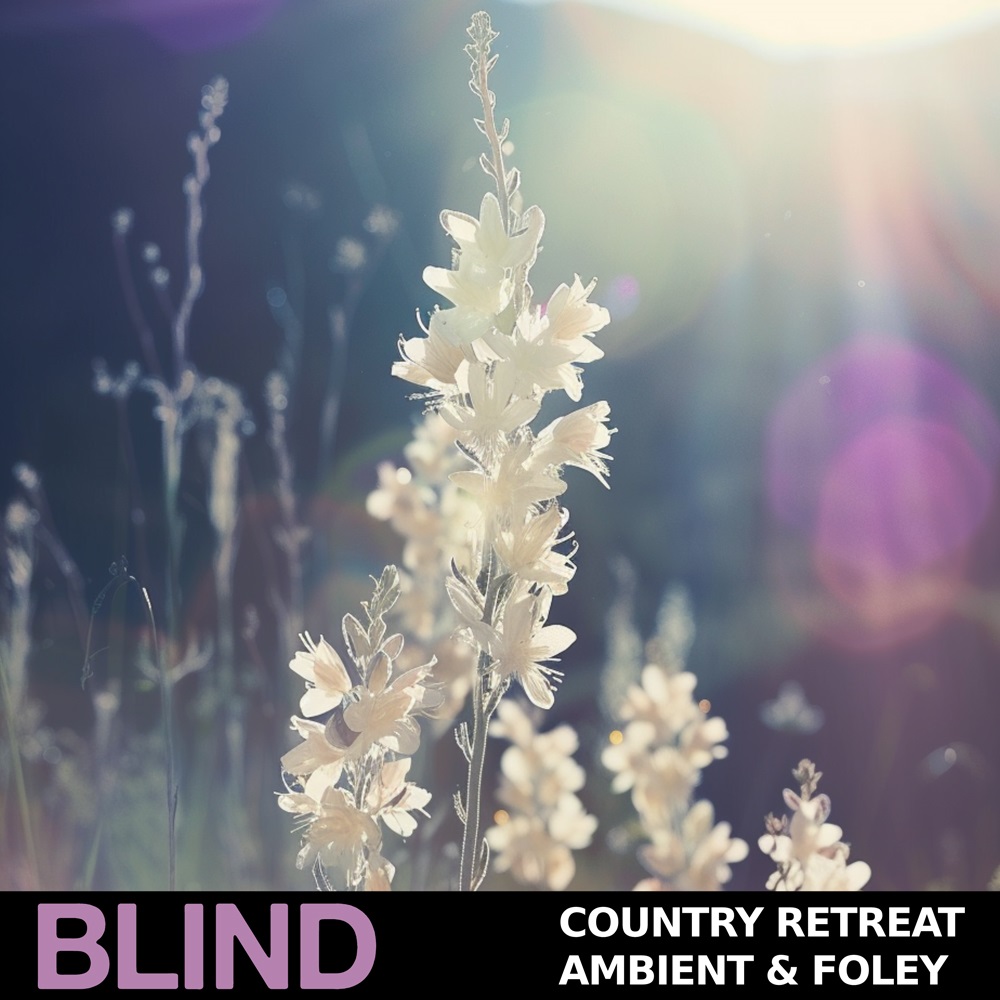 blind-audio-country-retreat
