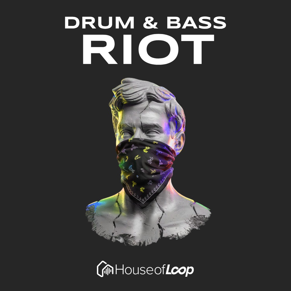 house-of-loop-drum-bass-riot