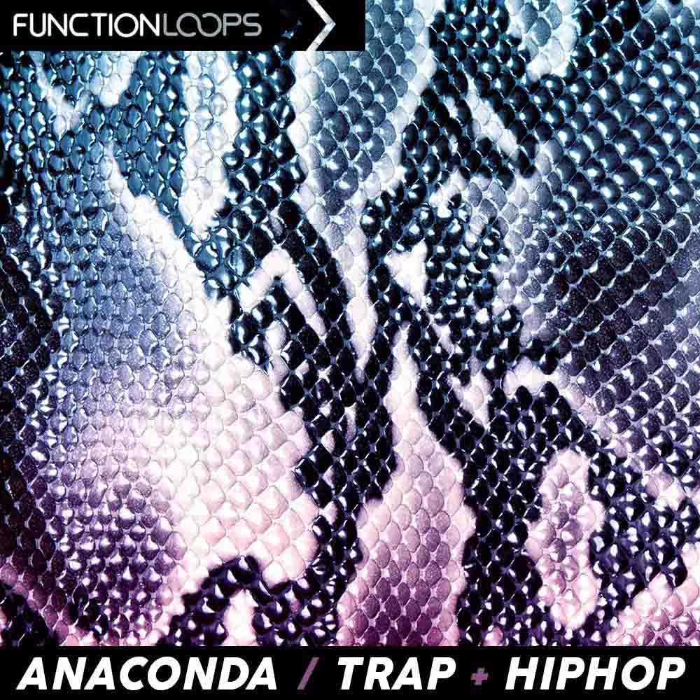 function-loops-anaconda