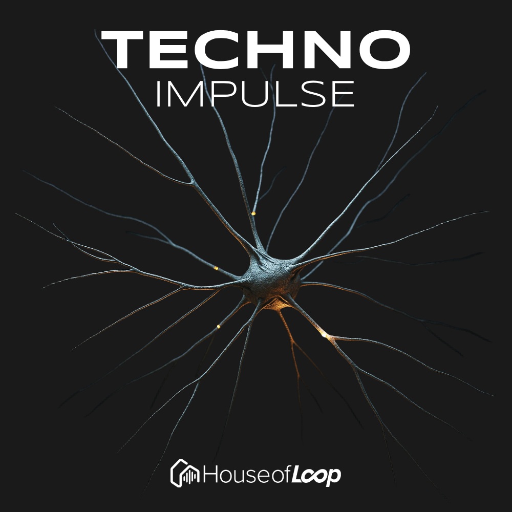 house-of-loop-techno-impulse